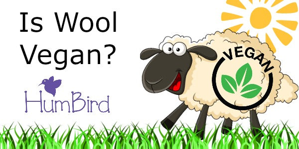 Is Wool Vegan