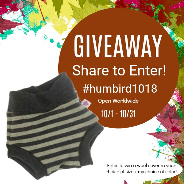 Wool Diaper Cover Giveaway!